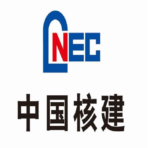 鼎强排型钢纤维